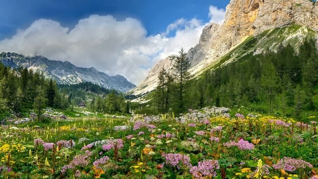 Муж понял, ЧТО ЕГО НЕ ЖДАЛИ, когда вернулся из КОМАНДИРОВКИ.