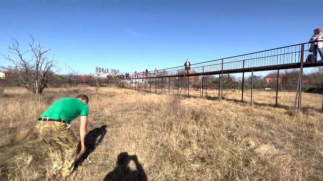 ЛЬВЫ ОДИНОЧКИ тоже хотят примкнуть к новому пройду вожака! смотреть онлайн