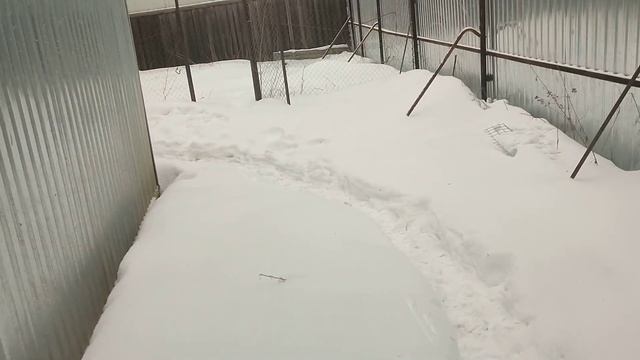 Отопление Легко: Руководства и Мастер-классы