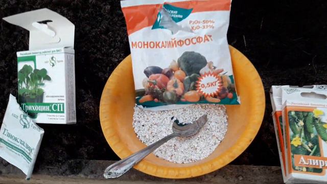 Посадка томатов в тепдицу в Сибири! смотреть онлайн