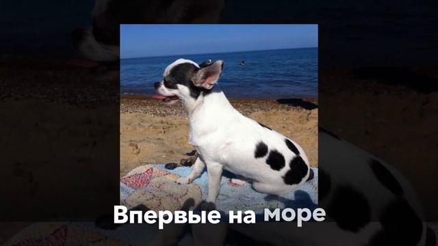 Моя история смотреть онлайн