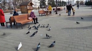 Бендеры/ Преображенский Сквер / Центр г.Бендеры/ Зонтики в Бендерах / Приднестровье