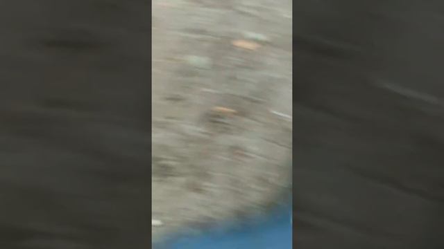 Дороги с.Керчомья смотреть онлайн