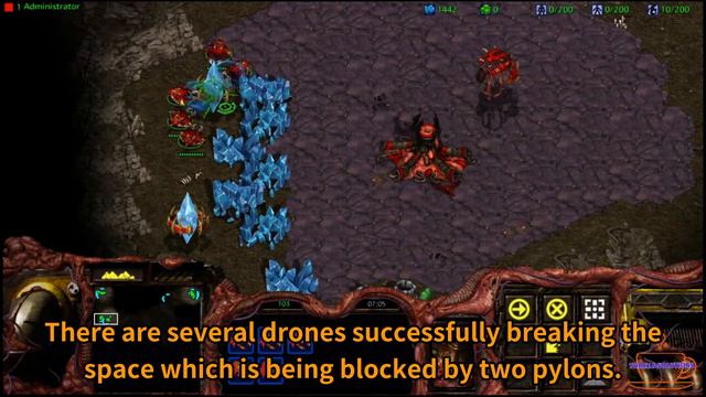 Drone drill technique / Drone operation / Zerg vs Protoss / Starcraft Remastered смотреть онлайн