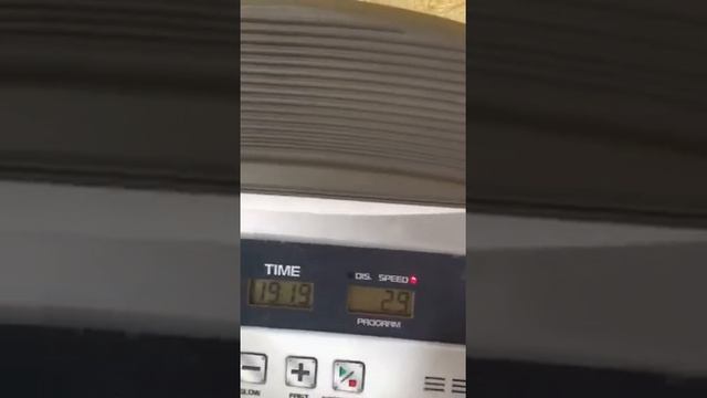 Torneo T-203 смотреть онлайн