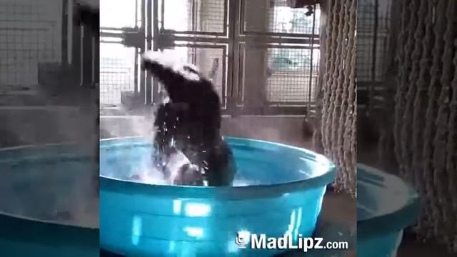 Черные глаза! смотреть онлайн
