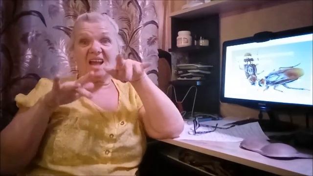 Интересные про таракана смотреть онлайн