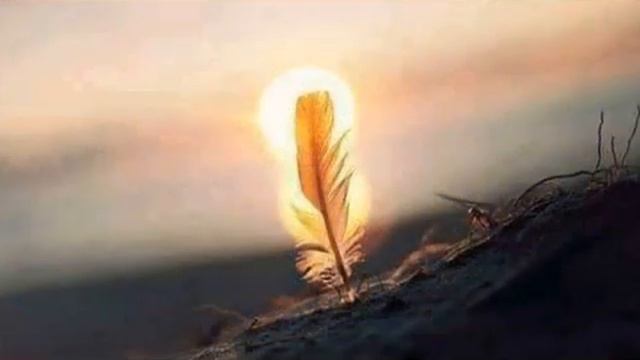 ПЕРЕХОД В ПЯТОЕ ИЗМЕРЕНИЕ (ГУТТАПЕРЧЕВОЕ ТЕЛО) смотреть онлайн