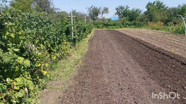 Подготовка участка под посадку клубники. Часть 3. Посадка по агроволокну смотреть онлайн