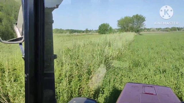 Начало второго укоса люцерны сенокосилкой Pöttinger трактор МТЗ 82.1 турбо смотреть онлайн