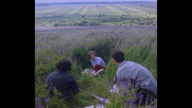 ✰free// "lavender" // indie folk x happy acoustic indie type beat 2023 смотреть онлайн