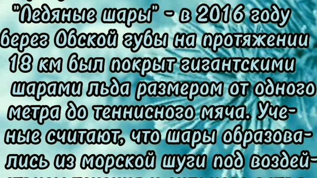 Природа-дом, где мы живём смотреть онлайн