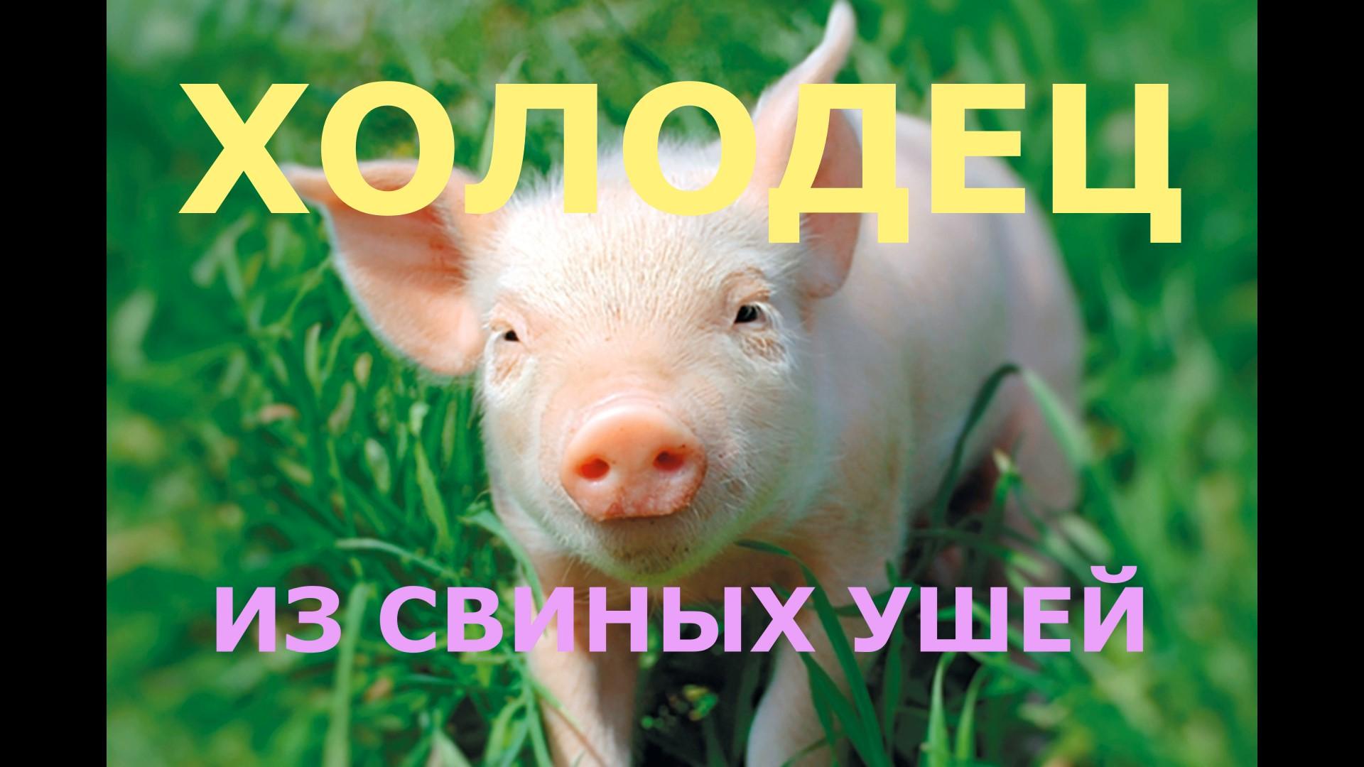 ХОЛОДЕЦ ИЗ СВИНЫХ УШЕЙ!!! смотреть онлайн