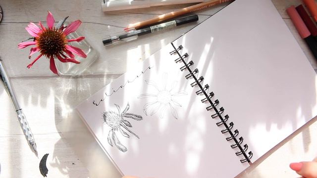 Free(!) Modern Botanical Online Class: Echinacea Study | Part 1/4 смотреть онлайн