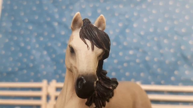 Модельный обзор лошади шляйх /Кобыла с лисьим хвостом / Андалузская кобыла 2014 смотреть онлайн