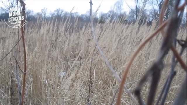 Необычный март. Стихи о жизни. смотреть онлайн