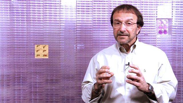 How Mosquitoes Spread Viruses смотреть онлайн