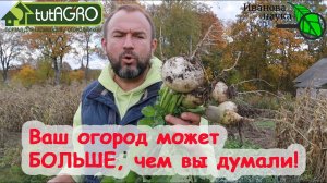 ВТОРАЯ ВОЛНА! Вырастить редьку, репу и дайкон КАК ДВАЖДЫ ДВА! Посеять и... ВСЁ!