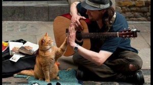 Кошки не похожи на людей, Жанна Агузарова