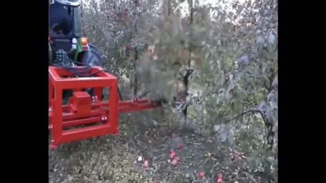 Н1.Сбор яблок  