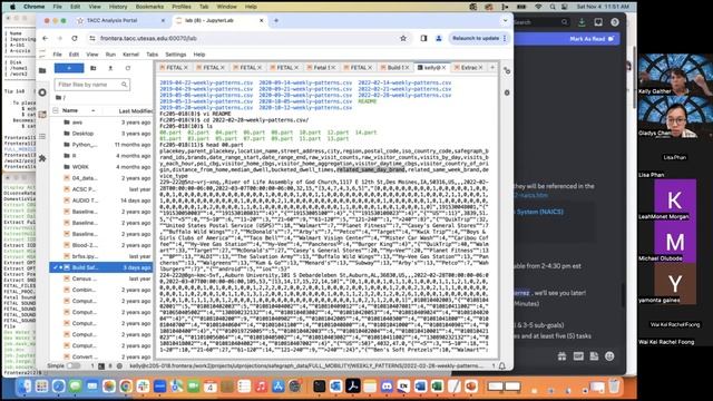 [HPC in the City: Pandemics] Safegraph Data Overview смотреть онлайн