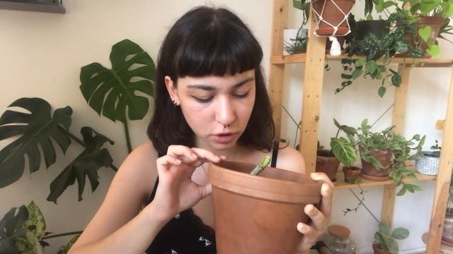 Instagram Bitkikeri // Gerçekte Olan | Wet Stick Yöntemi | Çelik Alırken Dikkat Edilmesi Gerekenler смотреть онлайн