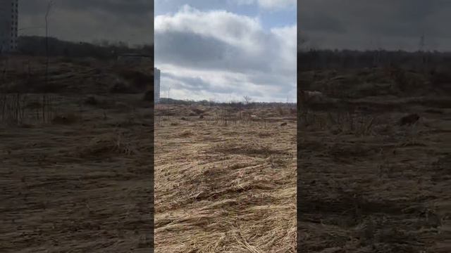 2 работа Фотий смотреть онлайн