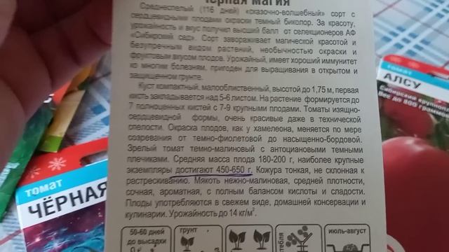 Обзор семян томатов - самых крупных, мясистых и очень сладких! смотреть онлайн