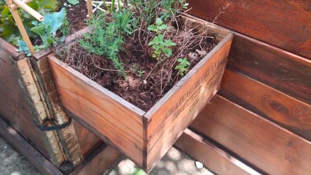 Mon nouveau potager autofertile смотреть онлайн