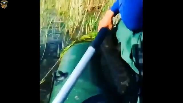 ★Если мутная вода-то лови со дна//Приколы на рыбалке 2021//Девушки на рыбалке//Трофейная рыбалка//★ смотреть онлайн