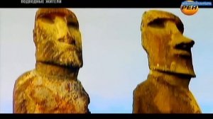 Загадка Марианской впадины, подводные жители