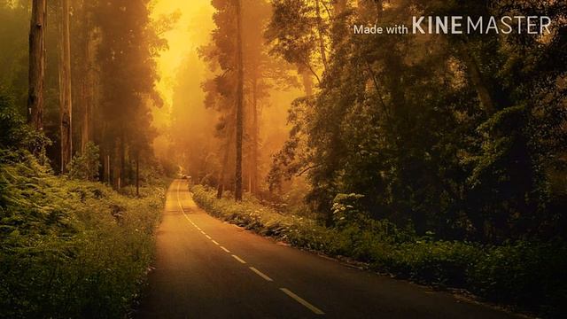 TEARS IN HEAVEN - ERIC CLAPTON WITH LYRICS смотреть онлайн