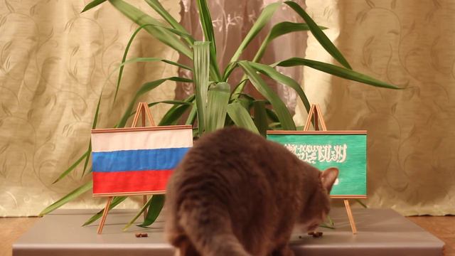 Эйнштейн показал результат игры \Россия - Саудовская Аравия. смотреть онлайн