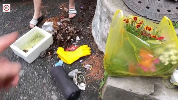 Моя love korea приехала!/KOREA VLOG