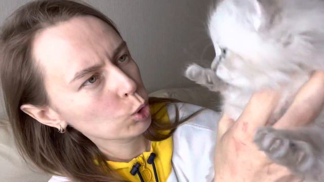 Ариэль Тишинский Кот Актирование смотреть онлайн