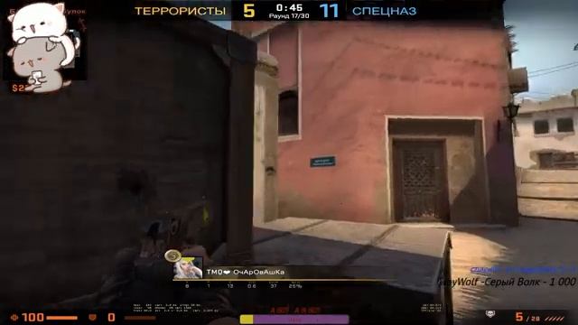 играем в?МУР cs:go МЯУ? смотреть онлайн