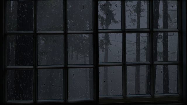 Rain and Thunder Sounds for Sleeping - 30 minutes Rain Sounds on Window - Rain on glass - ASMR смотреть онлайн