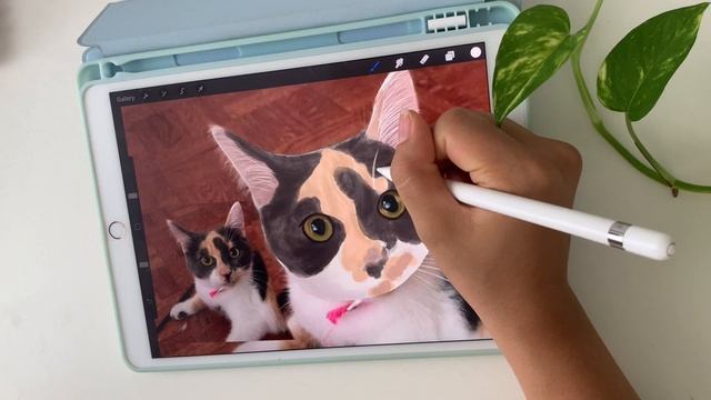Procreate | Cat Portrait (Draw With Me: iPad Drawing using Default Brushes) смотреть онлайн