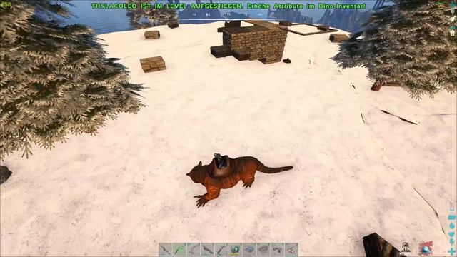 Damit hat NIEMAND gerechnet 😲 | Road to Ark Ascended PvP смотреть онлайн