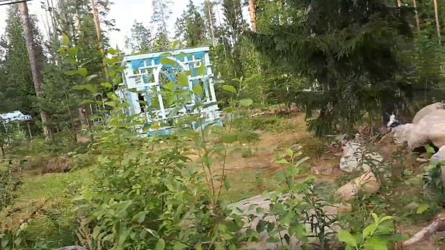 Обзор базы отдыха "Шишки на Лампушке " смотреть онлайн