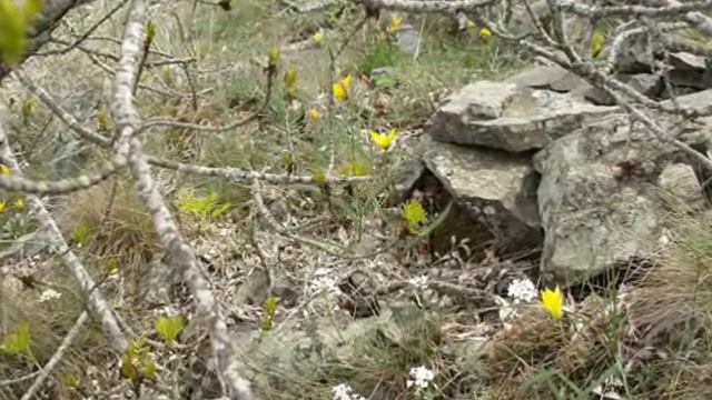 Вёсны смотреть онлайн