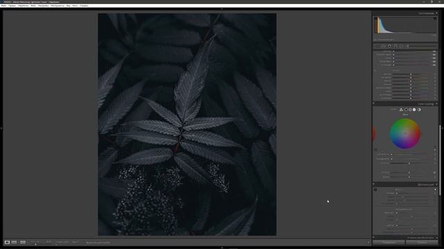 Обработка фото в Lightroom / Идеальный черный / Тоновая кривая Лайтрум / Лайтрум для начинающих смотреть онлайн