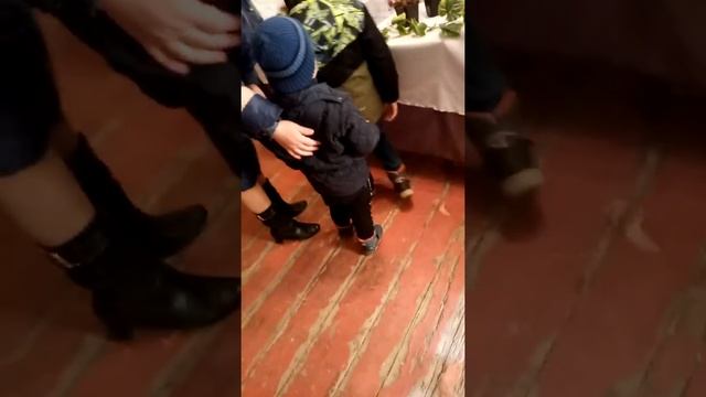 Выставка больших пауков и другие животные смотреть онлайн