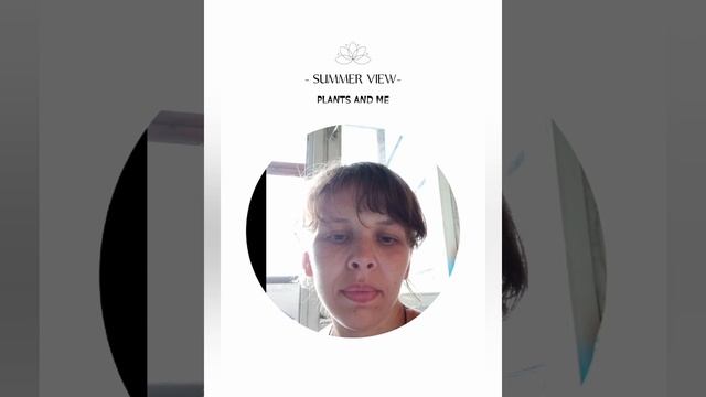 Любимая жена.mp4 смотреть онлайн