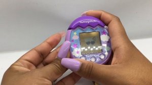 Tamagotchi Pix Guide