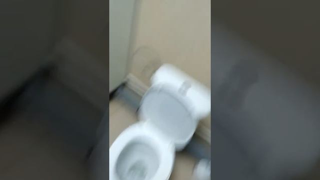 Дрожи в туалет. Из туалета потом кое что вышло. смотреть онлайн