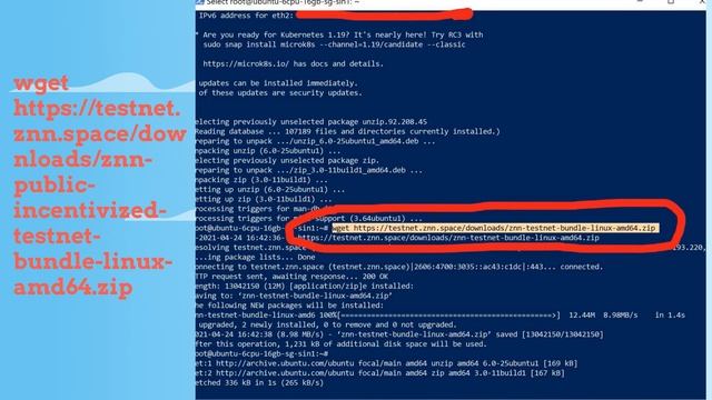 How to Spawn a Pillar on the Zenon Public Testnet (updated version) смотреть онлайн