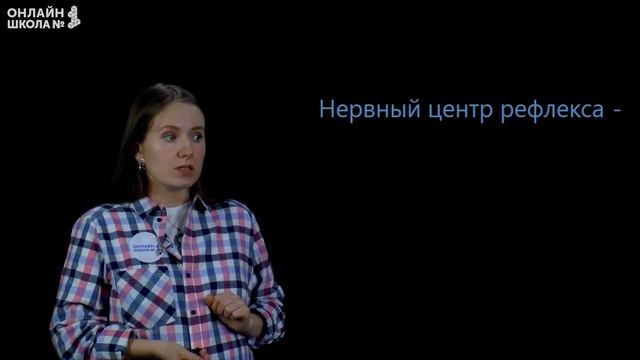 Рефлексы. Видеоурок 32. Биология 8 класс смотреть онлайн