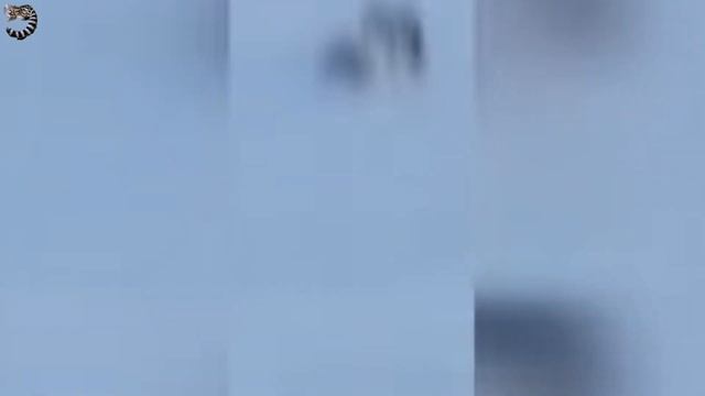 ПОФИГИСТ По Жизни - Не ЗНАЕТ ПОЩАДЫ, Не ЗНАЕТ СТРАХА , Не ЗНАЕТ БОЛИ - РОСОМАХА В ДЕЛЕ