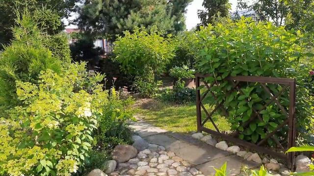 Формирую штамбы, нормирую побеги у гортензий?Сад Девятой реальности? смотреть онлайн